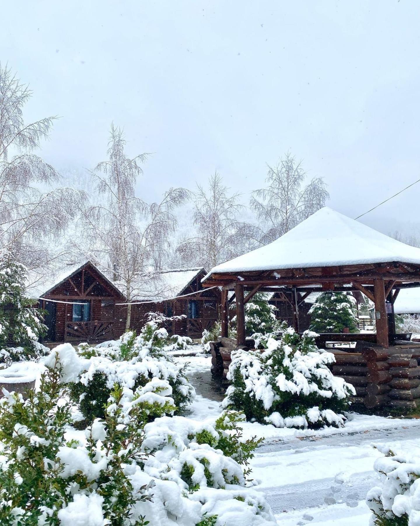 Complex Adora Hotel Bicaz Exterior photo