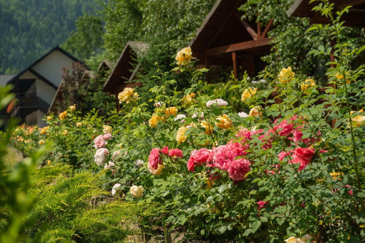 Complex Adora Hotel Bicaz Exterior photo